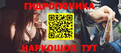 дмт Владивосток