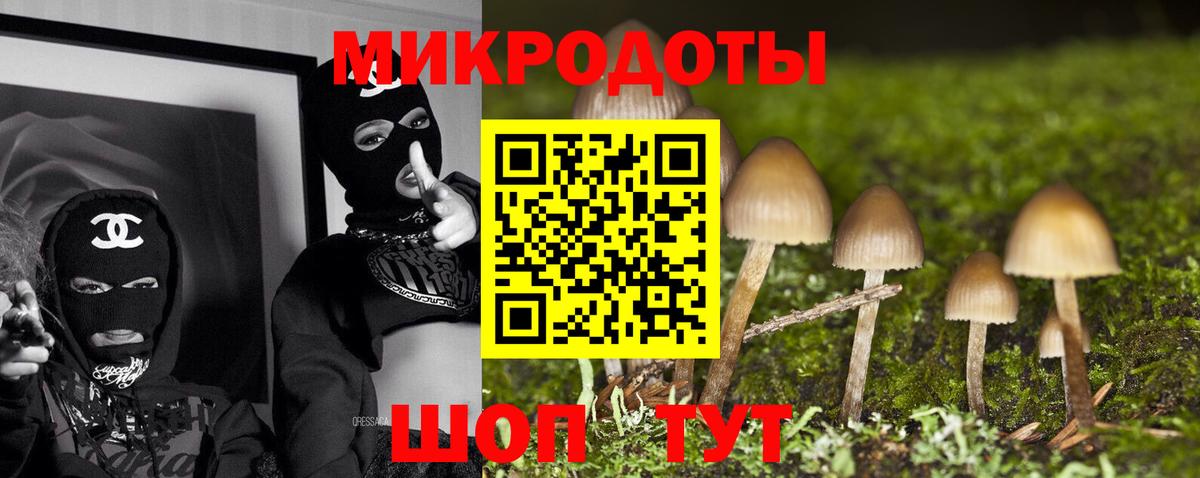 Заречный  Псилоцибиновые грибы прущие грибы  Вход с VPN 